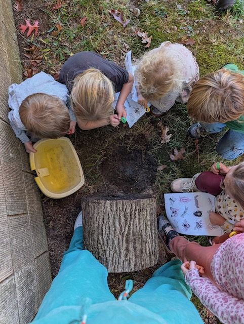 Kids exploring bugs around a tree stump